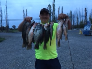 One of Pflum Pfun Rental's bait customers showing off his huge Crappie catch from Black Butte Lake! Give us a call to find out how you can be like him!